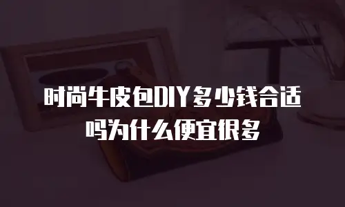 时尚牛皮包DIY多少钱合适吗为什么便宜很多