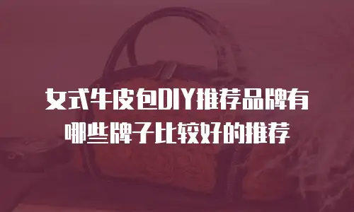 女式牛皮包DIY推荐品牌有哪些牌子比较好的推荐