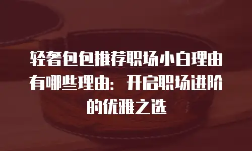 轻奢包包推荐职场小白理由有哪些理由：开启职场进阶的优雅之选
