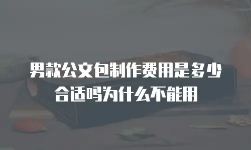 男款公文包制作费用是多少合适吗为什么不能用