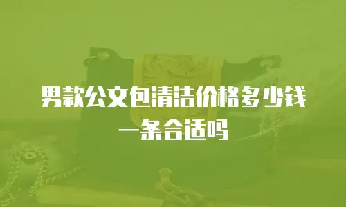 男款公文包清洁价格多少钱一条合适吗