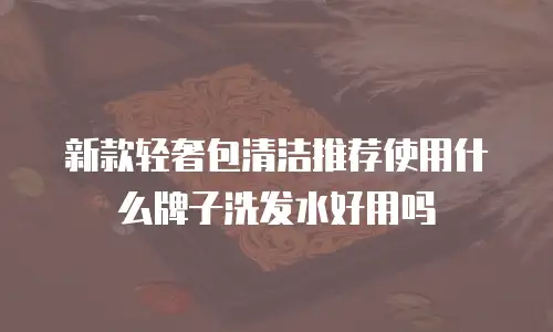 新款轻奢包清洁推荐使用什么牌子洗发水好用吗
