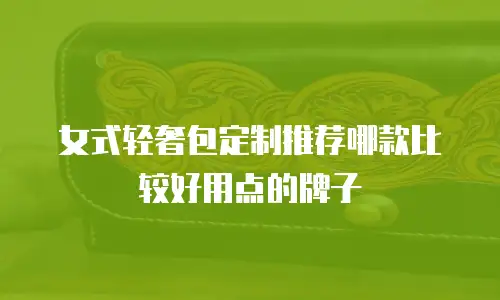 女式轻奢包定制推荐哪款比较好用点的牌子