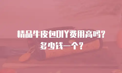 精品牛皮包DIY费用高吗？多少钱一个？