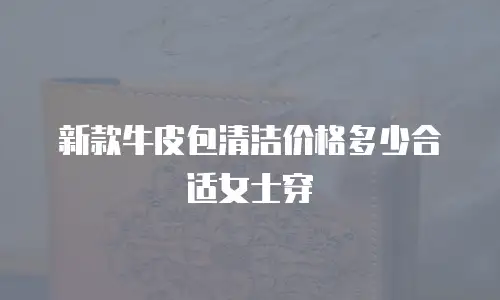 新款牛皮包清洁价格多少合适女士穿