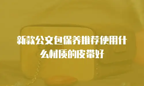 新款公文包保养推荐使用什么材质的皮带好