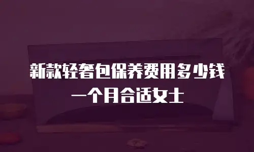 新款轻奢包保养费用多少钱一个月合适女士
