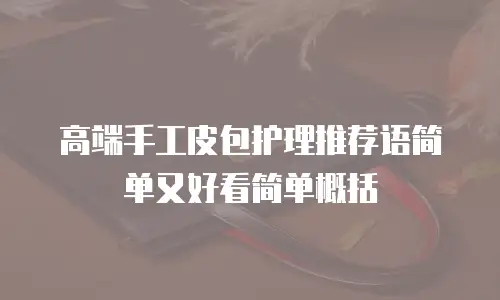高端手工皮包护理推荐语简单又好看简单概括