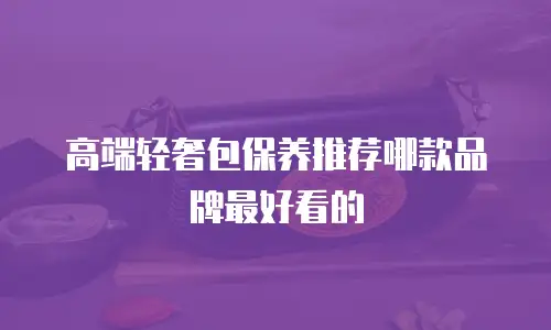 高端轻奢包保养推荐哪款品牌最好看的