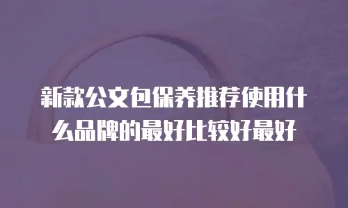 新款公文包保养推荐使用什么品牌的最好比较好最好