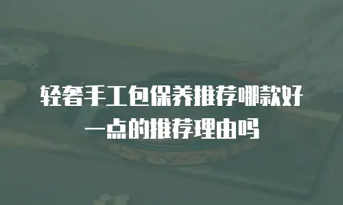 轻奢手工包保养推荐哪款好一点的推荐理由吗