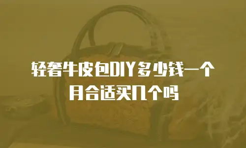 轻奢牛皮包DIY多少钱一个月合适买几个吗