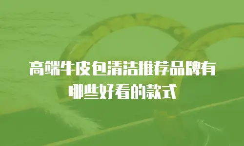 高端牛皮包清洁推荐品牌有哪些好看的款式