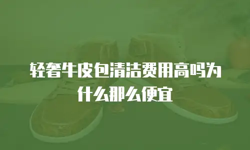 轻奢牛皮包清洁费用高吗为什么那么便宜