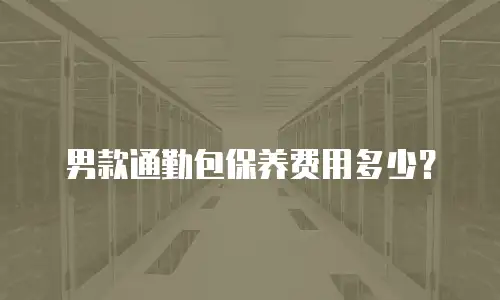 男款通勤包保养费用多少？