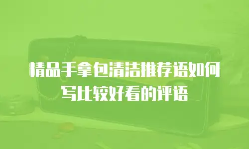 精品手拿包清洁推荐语如何写比较好看的评语