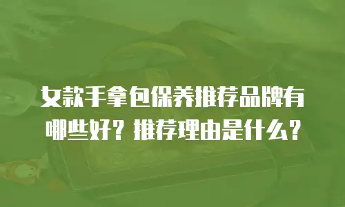 女款手拿包保养推荐品牌有哪些好？推荐理由是什么？