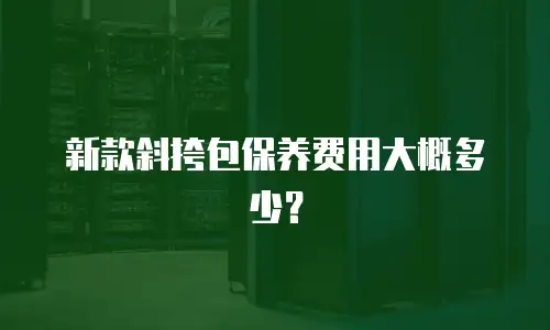 新款斜挎包保养费用大概多少？