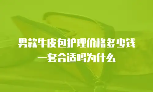 男款牛皮包护理价格多少钱一套合适吗为什么