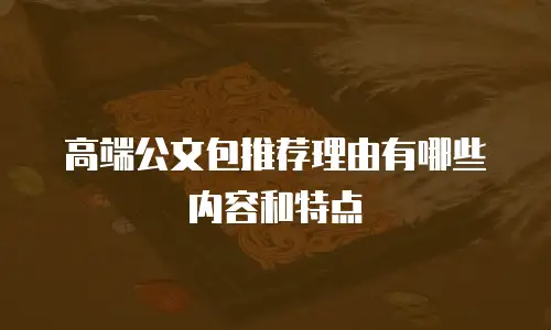 高端公文包推荐理由有哪些内容和特点