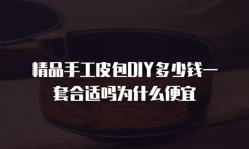 精品手工皮包DIY多少钱一套合适吗为什么便宜