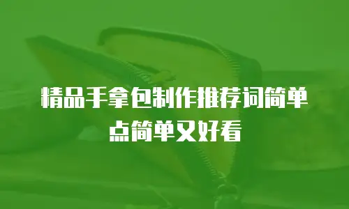 精品手拿包制作推荐词简单点简单又好看