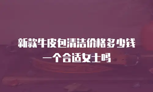 新款牛皮包清洁价格多少钱一个合适女士吗