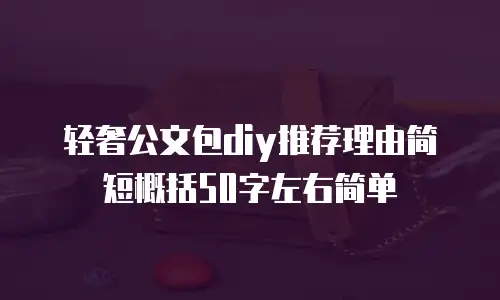 轻奢公文包diy推荐理由简短概括50字左右简单