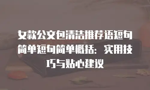 女款公文包清洁推荐语短句简单短句简单概括：实用技巧与贴心建议