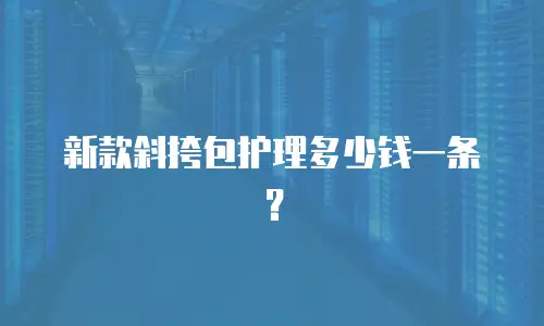 新款斜挎包护理多少钱一条？