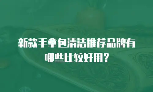 新款手拿包清洁推荐品牌有哪些比较好用？
