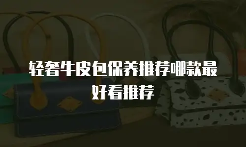 轻奢牛皮包保养推荐哪款最好看推荐