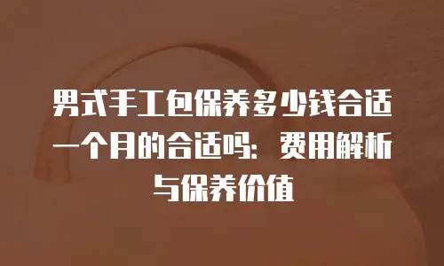 男式手工包保养多少钱合适一个月的合适吗：费用解析与保养价值
