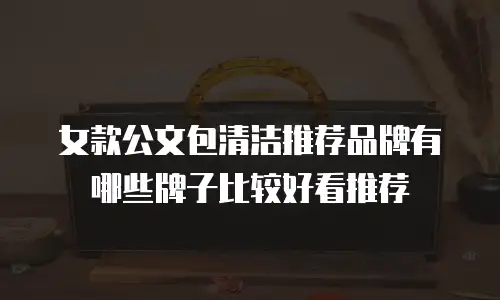 女款公文包清洁推荐品牌有哪些牌子比较好看推荐