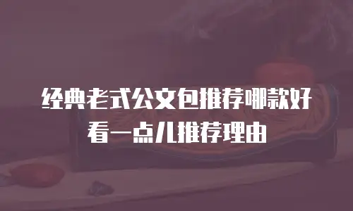 经典老式公文包推荐哪款好看一点儿推荐理由