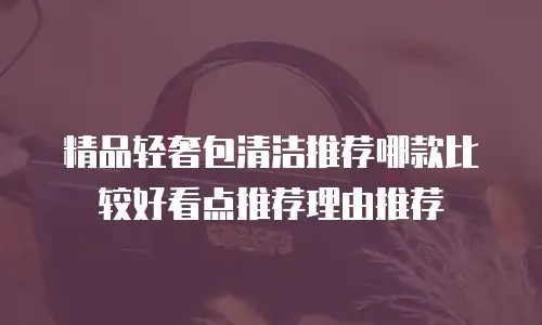 精品轻奢包清洁推荐哪款比较好看点推荐理由推荐
