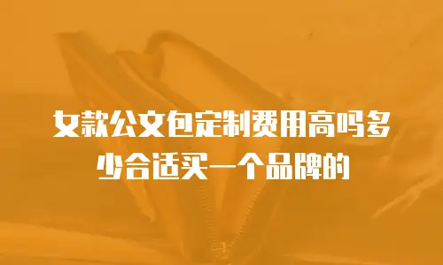 女款公文包定制费用高吗多少合适买一个品牌的