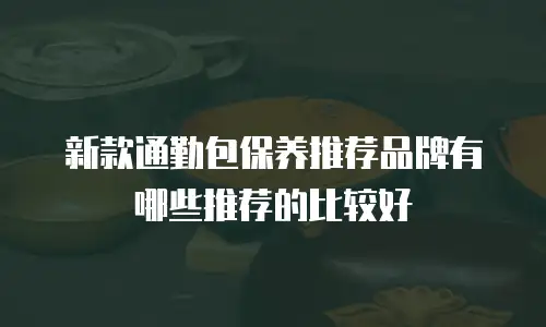 新款通勤包保养推荐品牌有哪些推荐的比较好