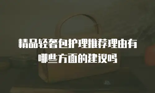 精品轻奢包护理推荐理由有哪些方面的建议吗