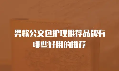 男款公文包护理推荐品牌有哪些好用的推荐