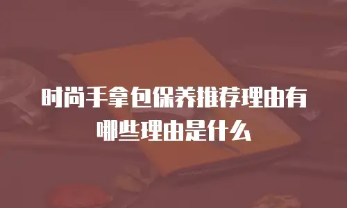 时尚手拿包保养推荐理由有哪些理由是什么