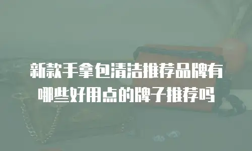 新款手拿包清洁推荐品牌有哪些好用点的牌子推荐吗