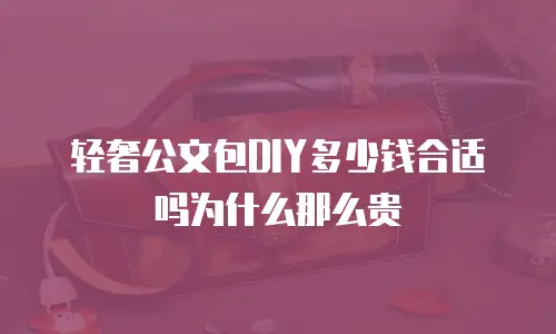 轻奢公文包DIY多少钱合适吗为什么那么贵