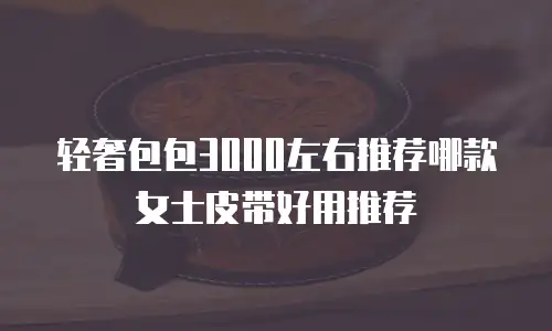 轻奢包包3000左右推荐哪款女士皮带好用推荐