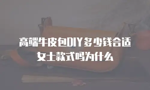 高端牛皮包DIY多少钱合适女士款式吗为什么