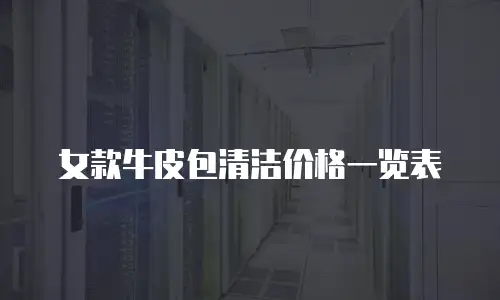 女款牛皮包清洁价格一览表