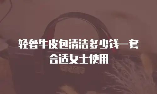 轻奢牛皮包清洁多少钱一套合适女士使用