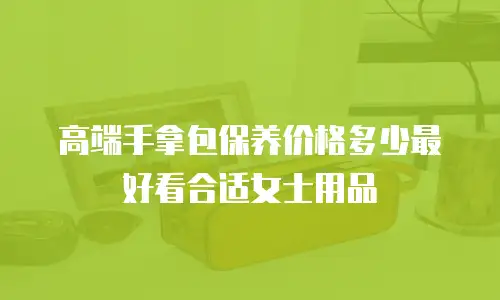 高端手拿包保养价格多少最好看合适女士用品