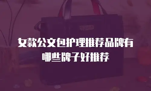 女款公文包护理推荐品牌有哪些牌子好推荐
