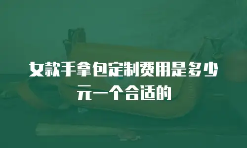 女款手拿包定制费用是多少元一个合适的